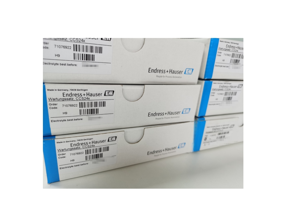 E+H CCS24X溶解氧维护包