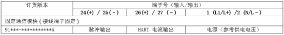 Prosonic Flow 91W 接线端子分配