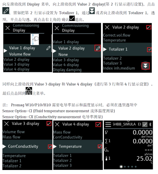 Promag 10 5XBB多变量显示效果