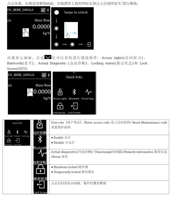 Promass 10 Quick Access interface