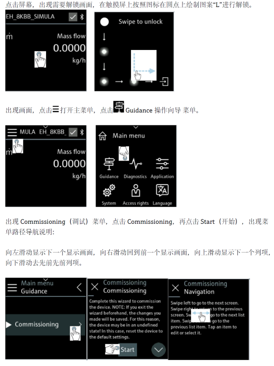Promass 10 display interface