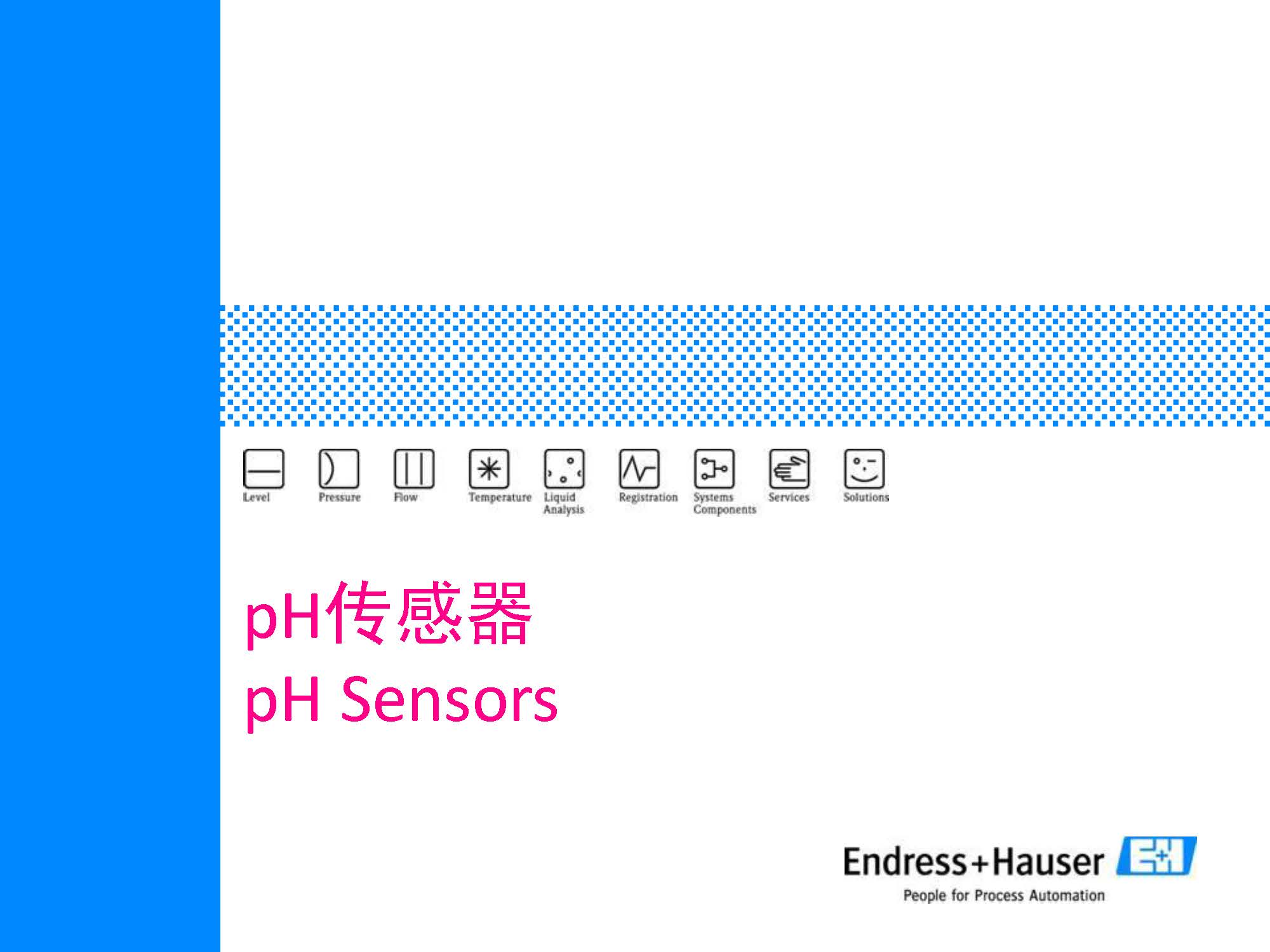 E+H PH计传感器培训资料精华：选型、安装与维护指南