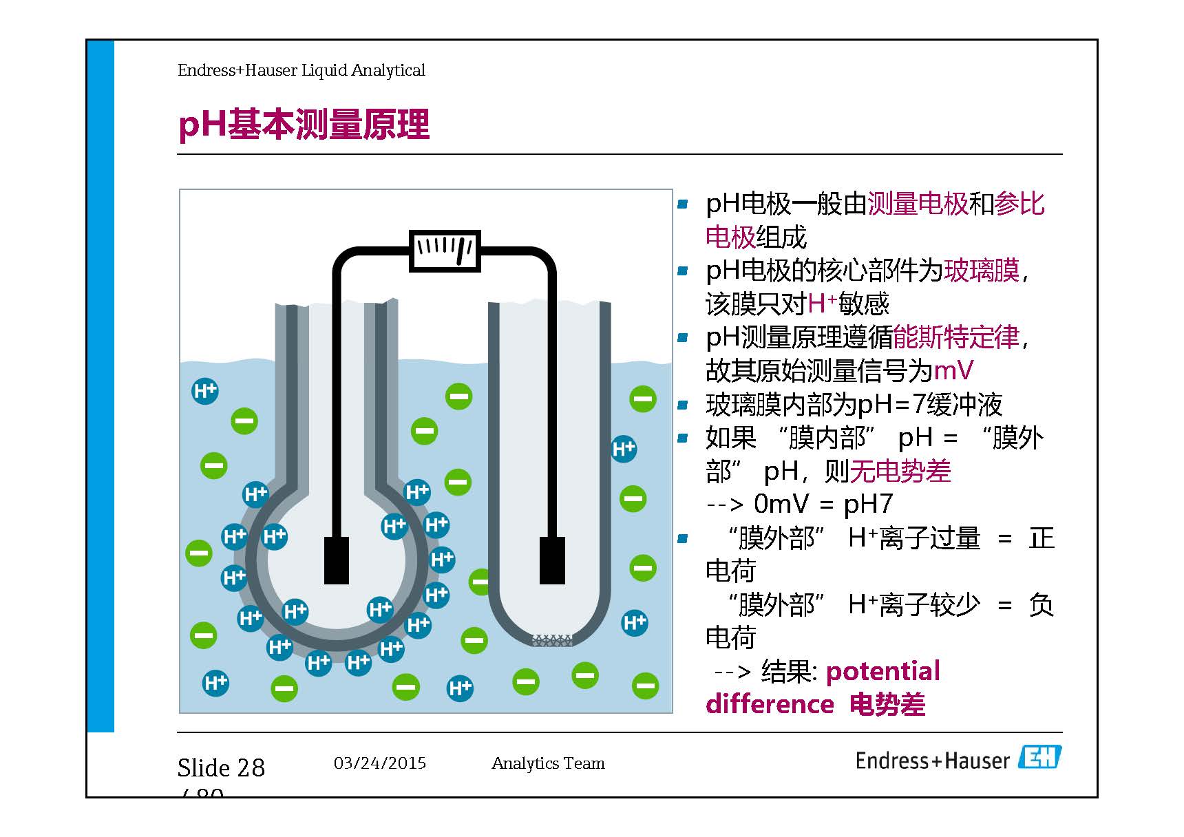 E+H Electrode